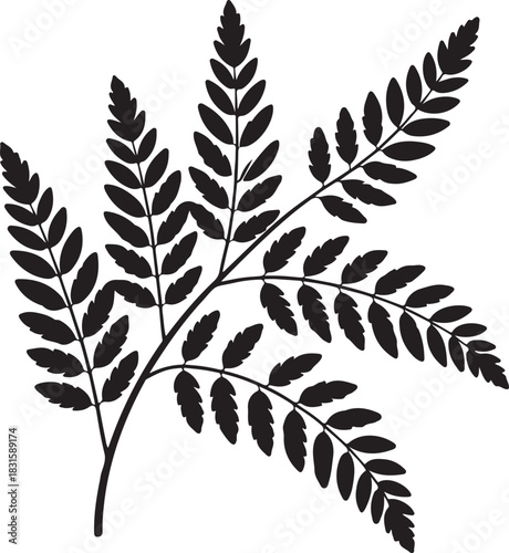 Black silhouette of a delicate fern frond on a white background