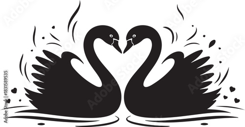 Two black swans forming a heart shape in water