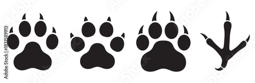 Collection of black animal footprint silhouettes including various paw prints with claws and a bird's talon track, presented as a graphic vector illustration set of wildlife steps