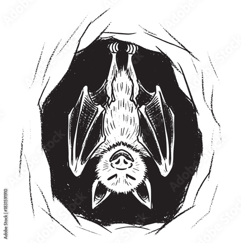 Graphic linocut style bat hanging upside down inside a dark cave, rendered in a high-contrast black and white hand-drawn artistic style with a spooky nocturnal mood