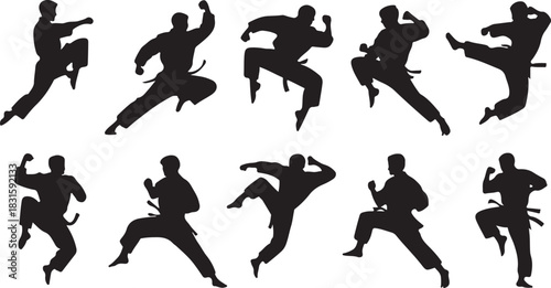 Collection of martial arts silhouettes demonstrating various combat poses