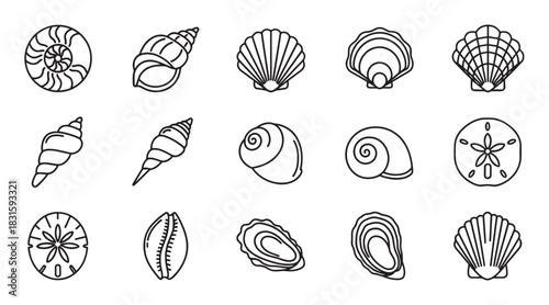 Various seashell icons in a black outline style featuring different types of marine life shells like scallop, conch, nautilus, and sand dollar in a minimalist graphic set