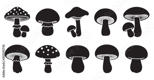 Set of ten black mushroom silhouettes and icons in a simple graphic style, showing various fungi types like amanita, champignon, and toadstool for nature-themed design elements