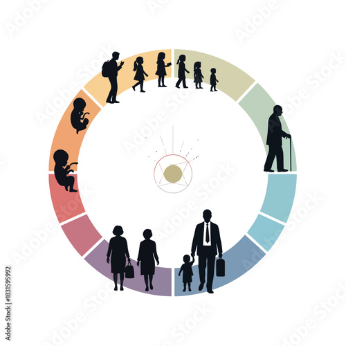 Human Life Cycle Stages in a Circular Diagram.