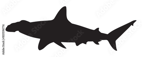 Black silhouette of a hammerhead shark swimming, a simple vector graphic illustration of a large predatory marine fish with its distinctive head shape and powerful fins