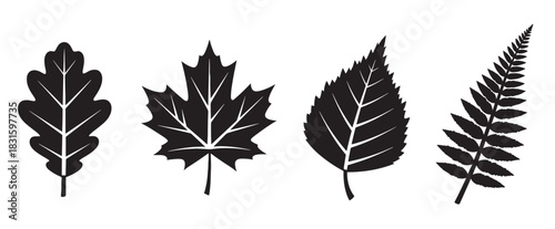 Four black leaf silhouettes of different trees including oak, maple, birch, and fern frond shown in a simple graphic vector illustration style