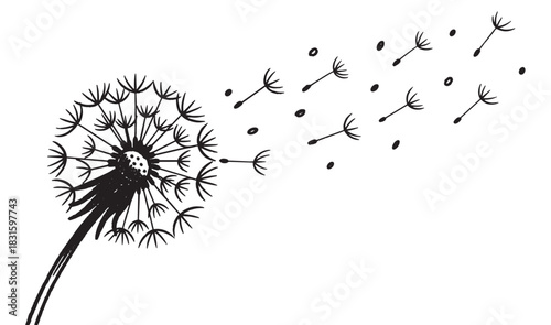 Black and white hand-drawn dandelion illustration with seeds blowing in the wind, symbolizing freedom, change, and new beginnings in a minimalist doodle style