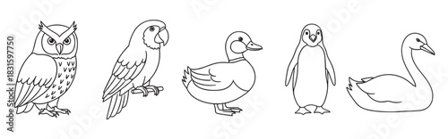 Collection of five bird illustrations in a simple black and white outline style, featuring a cute owl, parrot, duck, penguin, and swan for educational or coloring activities