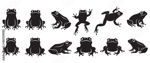 Collection of black frog silhouettes in various dynamic poses, including sitting, jumping, and crawling, presented as a graphic icon set for nature and wildlife themes