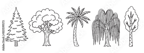 Collection of five different hand-drawn trees in a simple black and white doodle style, including pine, deciduous, palm, weeping willow, and birch tree illustrations