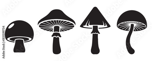 Four black graphic mushroom silhouettes in a set with various shapes, including conical and rounded caps, showcasing a minimalist and stylized vector illustration design