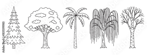Set of five different hand-drawn trees in a simple black and white outline style, featuring a pine, deciduous, palm, weeping willow, and bare birch tree illustration