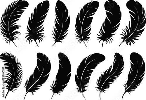 Feather silhouette set illustration