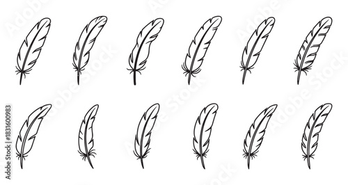 Collection of twelve hand drawn feathers in a simple black line art style, showcasing a variety of delicate quill shapes in a clean, minimalist doodle illustration set