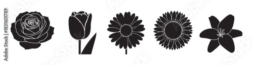 Collection of five black flower silhouettes including a rose, tulip, daisy, sunflower, and lily presented as a graphic icon set for design elements
