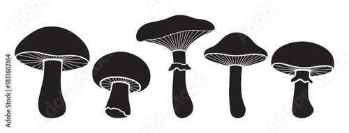 Collection of five black mushroom silhouettes with different shapes and sizes, showcasing a simple graphic vector illustration style with detailed gills underneath the caps