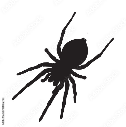 Creepy black spider silhouette with eight long legs viewed from a top-down perspective, a minimalist graphic icon for spooky Halloween or nature themes