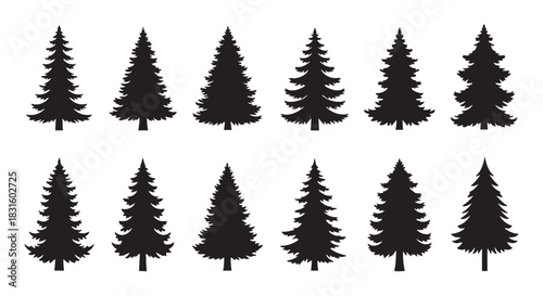 Collection of twelve black evergreen tree silhouettes in various shapes and styles, a minimalist set of fir and pine icons for nature or holiday themed graphic design