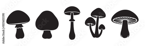 Set of five black mushroom silhouettes with various shapes and sizes, featuring a minimalist graphic style for nature and botanical design concepts in a clean vector illustration