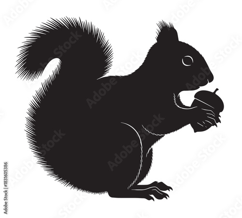 Black squirrel silhouette illustration holding an acorn in its paws with detailed fur and a bushy tail, depicted in a simple graphic style from a side view perspective