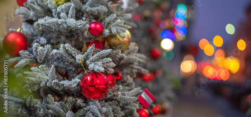 Christmas tree on a city street