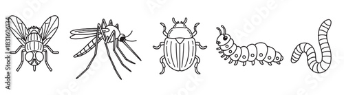 Set of five hand-drawn insects and invertebrates including a fly, mosquito, beetle, caterpillar, and worm in a simple black and white line art doodle style illustration