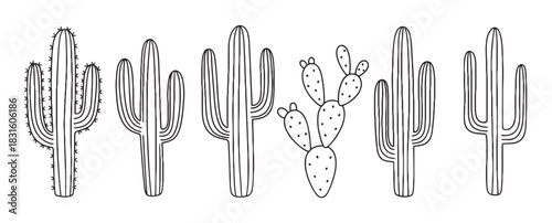 Collection of hand-drawn cactus illustrations in a minimalist doodle style, featuring various types like saguaro and prickly pear, presented as a simple black and white line art set