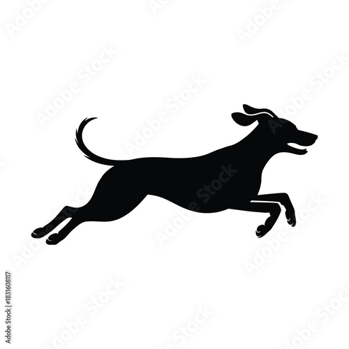 Dog running in motion Vector, Silhouette, Illustration