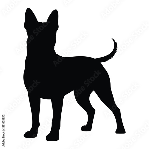 Dog standing alert Vector, Silhouette, Illustration