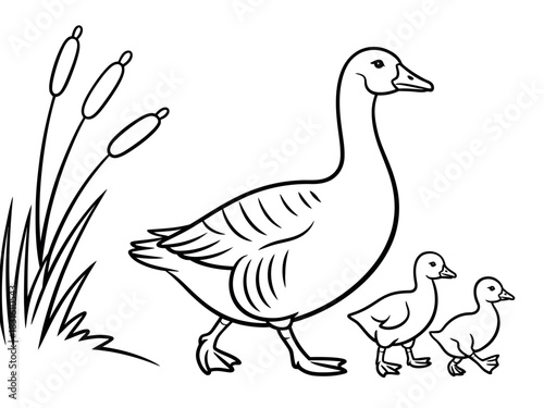 A mother goose and her two goslings walk through reeds by the water's edge.