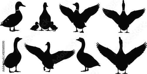 Duck and goose silhouette vector collection with flying and standing poses for wildlife and nature design, cad drawing flat vector illustration
