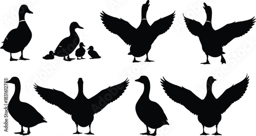 Duck and goose silhouette vector collection with flying and standing poses for wildlife, farm, and nature design, cad drawing flat vector illustration