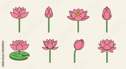 Pink lotus flower collection with transparent background