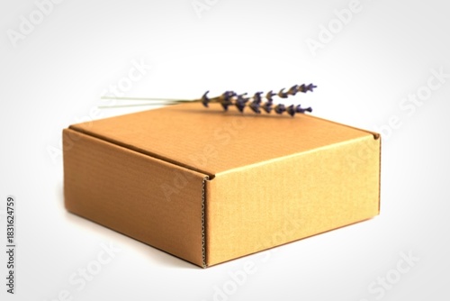 Simple cardboard box with delicate dried flower accent