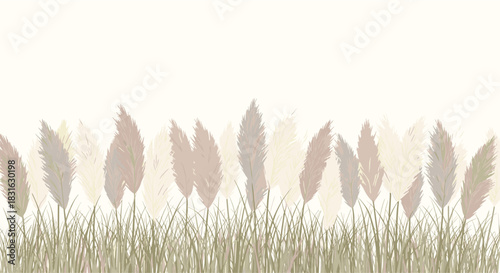 Beautiful seamless border of soft and feathery pampas grass in neutral pastel tones for a calm and natural background.