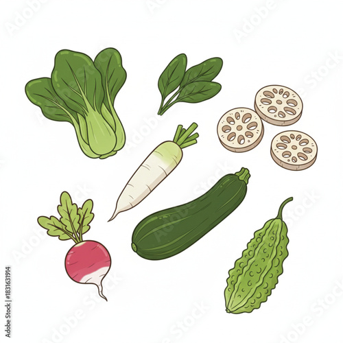 Assorted fresh garden vegetables colorful illustration collection