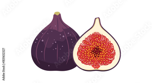 Fresh ripe purple fig fruit shown as a whole and cut in half to reveal the seeds in a detailed and colorful illustration.