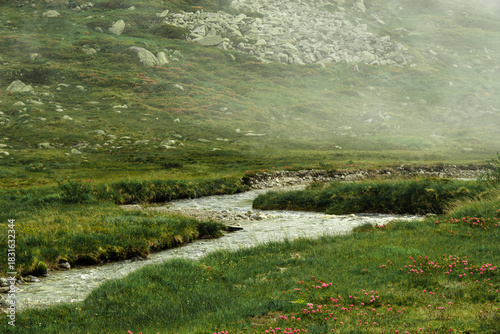 Small Alpine Stream Forming a Zigzag Pattern on the Olpererhütte Route