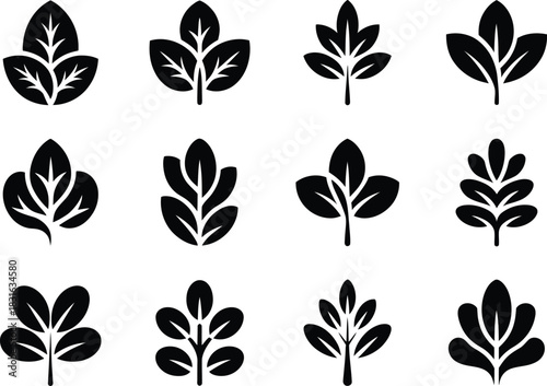 Leaf icon set design