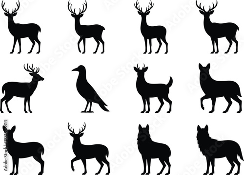 Deer and wild animal silhouettes collection