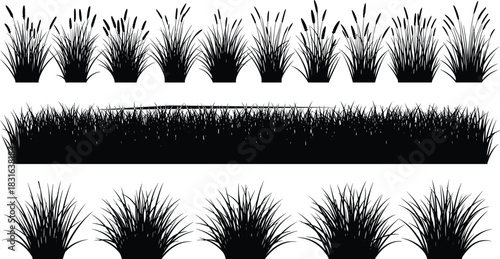 Black Silhouette Collection of Grasses and Reeds in Rows cattails