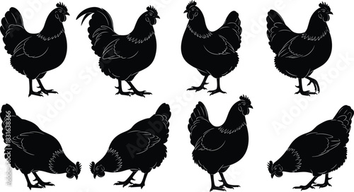 Black silhouette chickens and roosters in various poses on white background bird