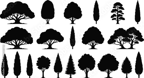 Black Silhouettes of Various Trees and Cypress in Rows on White Background evergreen deciduous