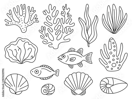 A collection of simple line drawings of marine life and coral.