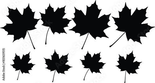 Eight Black Silhouette Maple Leaves with Stems on White Background Keywords: maple leaf, autumn leaf, fall foliage, leaf silhouette