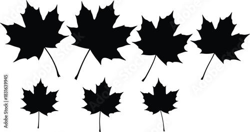 Seven Black Silhouette Maple Leaves with Stems on White Background Keywords: maple leaf, autumn leaf, fall foliage, leaf silhouette