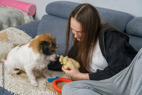 Photography Young woman playing with her scruffy terrier dog on a couch at home, bonding over toys