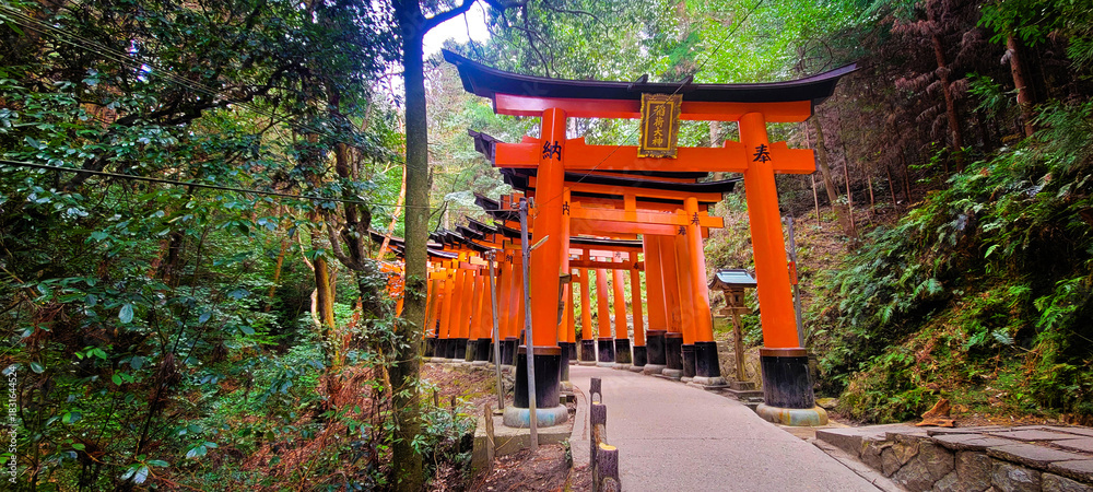 Fototapeta premium Fushimi Inari Taisha sanctuary, near Kyoto, Japan 