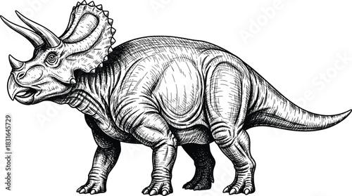 Black and White Detailed Vintage Engraving Style Drawing of a Powerful Triceratops Dinosaur, Representing Extinction, Prehistoric Life, Power, and Paleo-Nature Vector Content