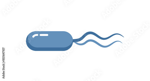 Scientific illustration of a single motile bacterium with flagella